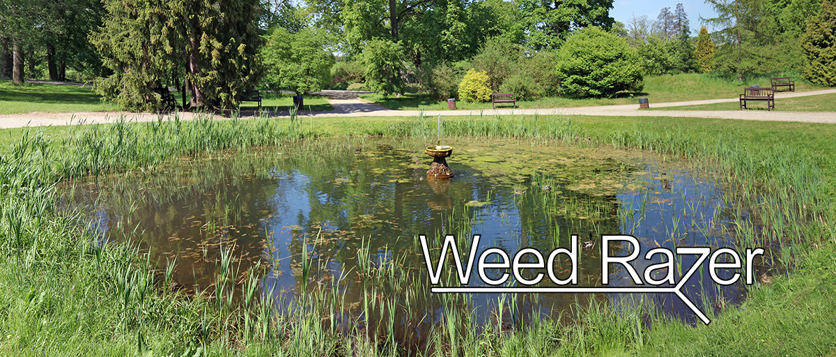 Small, round pond  with fountain and duck, also weedrazer logo.